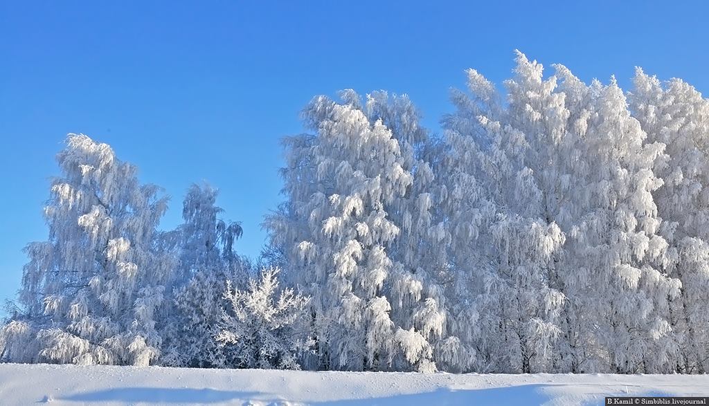 Родной край зимой. Ульяновская область зима. Ульяновская область зимой. Природа Ульяновской области зима. Зимний пейзаж Ульяновской области.