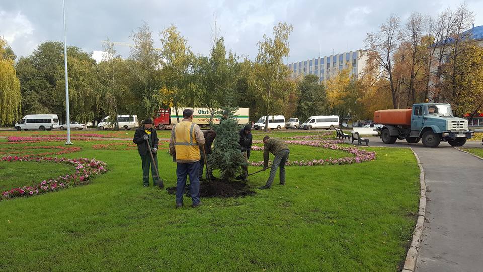 Сквер рядом с домом