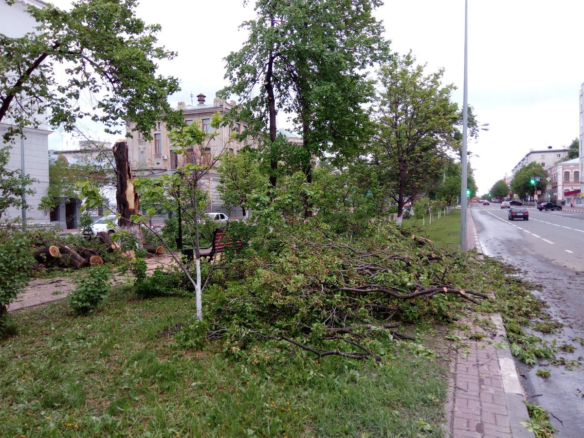 Гончарова, Крымова…- деревья с треском. Собрали фото итогов субботнего  шторма Улпресса - все новости Ульяновска