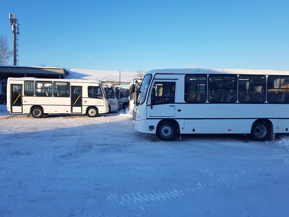 Димитровград автобус 52. ПАЗ 320302-11. ПАЗ Димитровград. Автобус Димитровград. Пазик Димитровград.