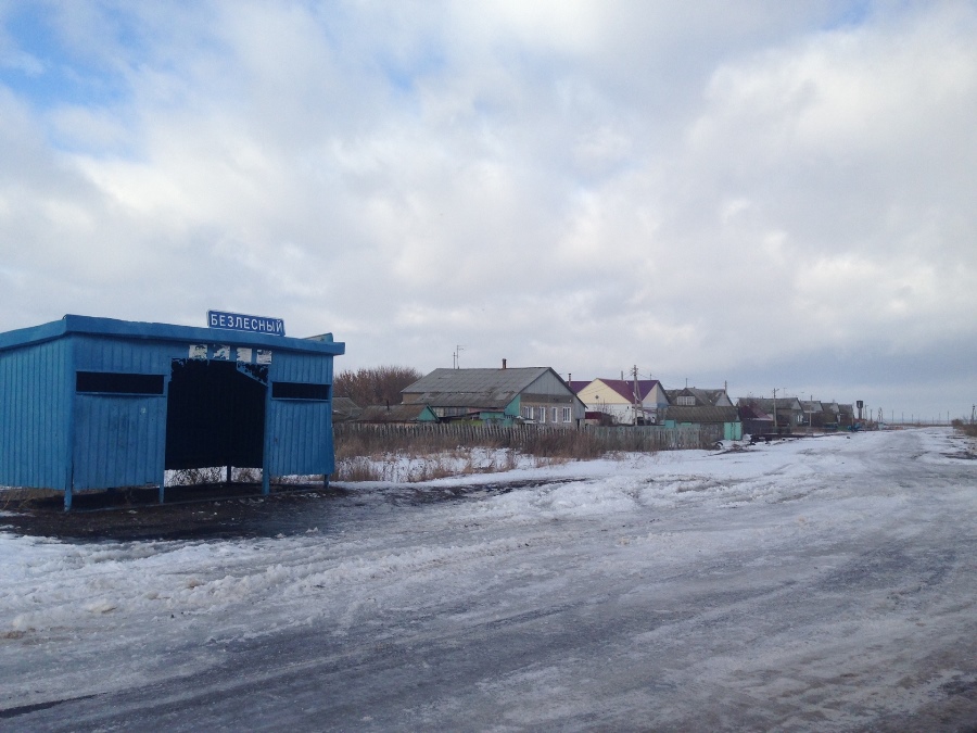 Ульяновская область майнский район село березовка фото