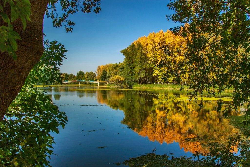 Фото родного края