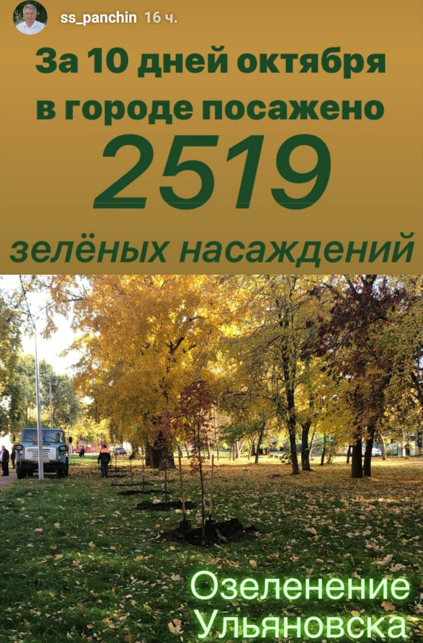 За 10 дней октября в Ульяновске высадили более 2500 зеленых насаждений. Смотрим, где именно Улпресса - все новости Ульяновска