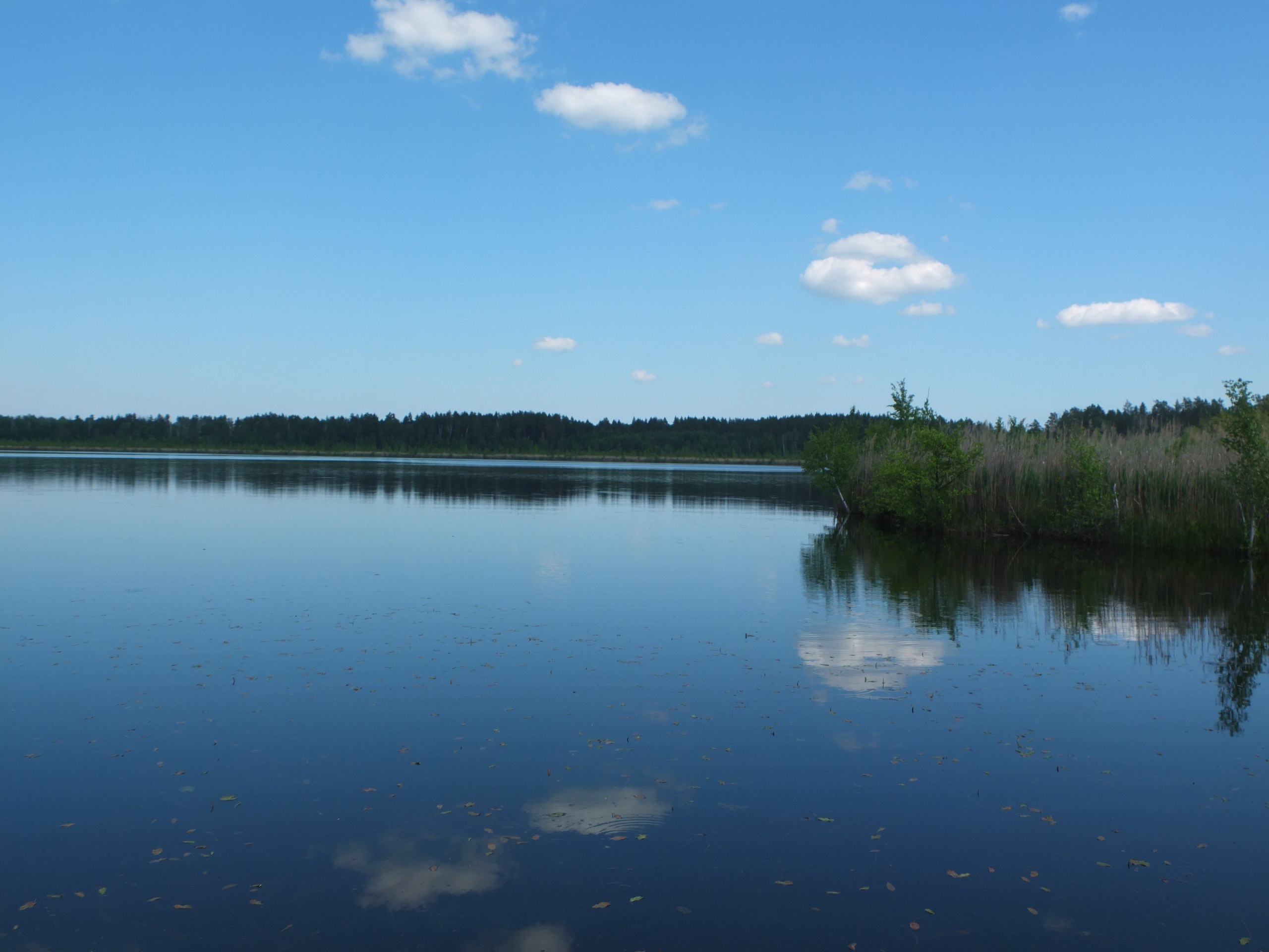 Озеро Крячек Ульяновская область