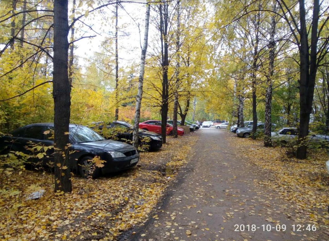 “Парк Станкостроителей превращают в помойку и стоянку”. Жители Засвияжья  жалуются на запущенное состояние зеленой зоны Улпресса - все новости  Ульяновска