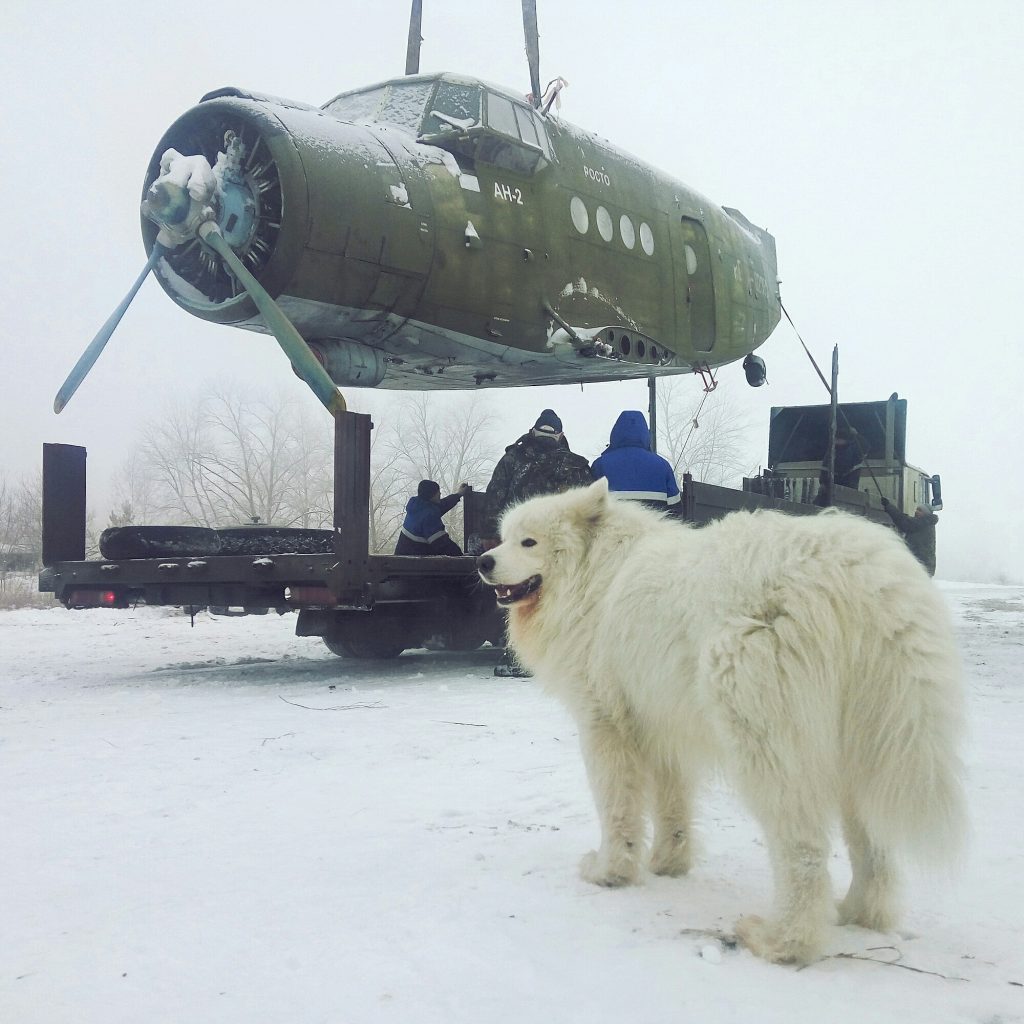 Самолёт Ан-2 со стоянки аэродрома ДОСААФ отправился на капитальный ремонт.  Фото Улпресса - все новости Ульяновска