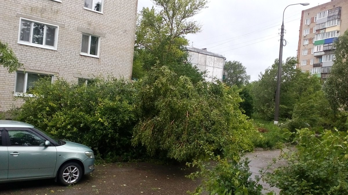 Придавило 31 авто, упало 61 дерево, зафиксировано 77 подтоплений.  Последствия урагана и проливного дождя в Ульяновске в фото Улпресса - все  новости Ульяновска