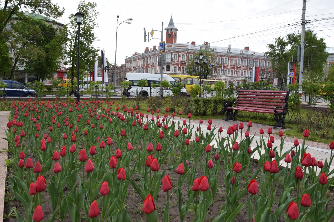 Ульяновск весной фото