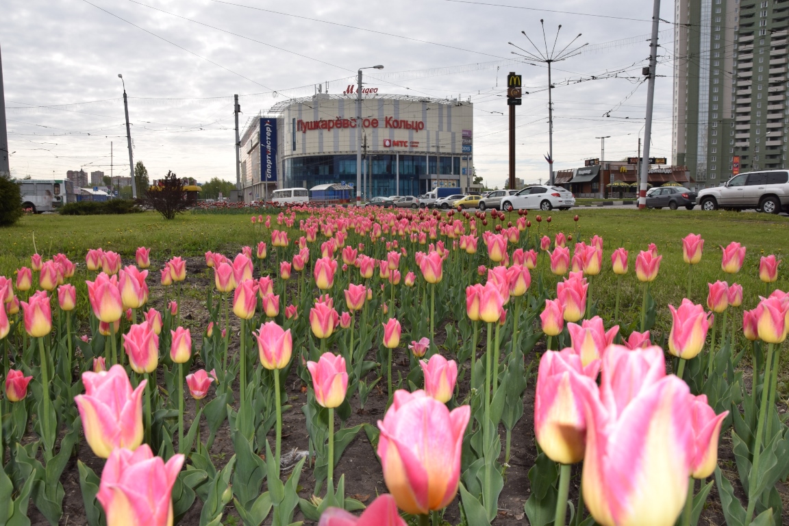 Весна в ульяновске фото