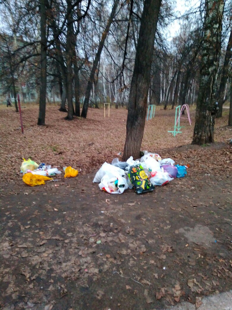 Мусор, разбитые лестницы и тротуары. Жители Димитровграда жалуются на  состояние города в социальных сетях. Фото Улпресса - все новости Ульяновска