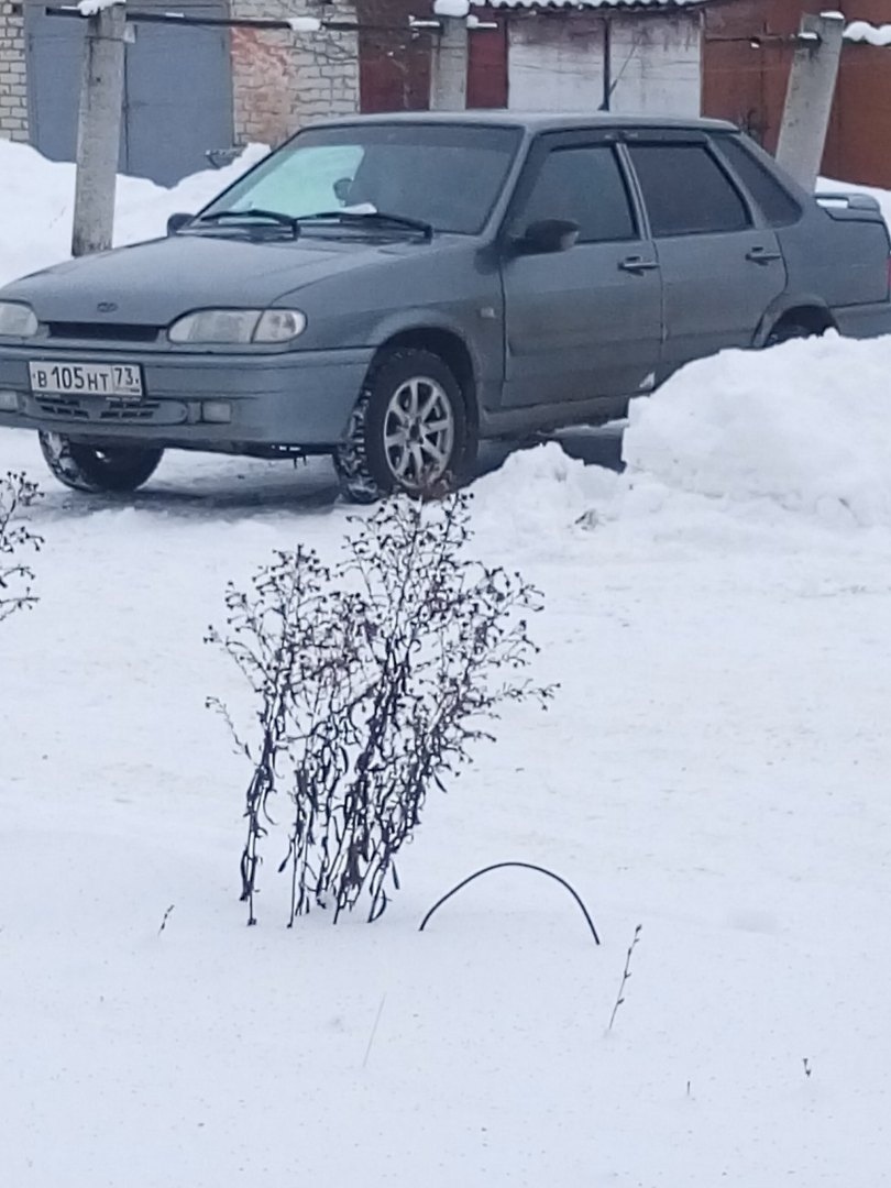 Ночью угнали ВАЗ: владельцы просят помощи в поисках автомобиля Улпресса -  все новости Ульяновска