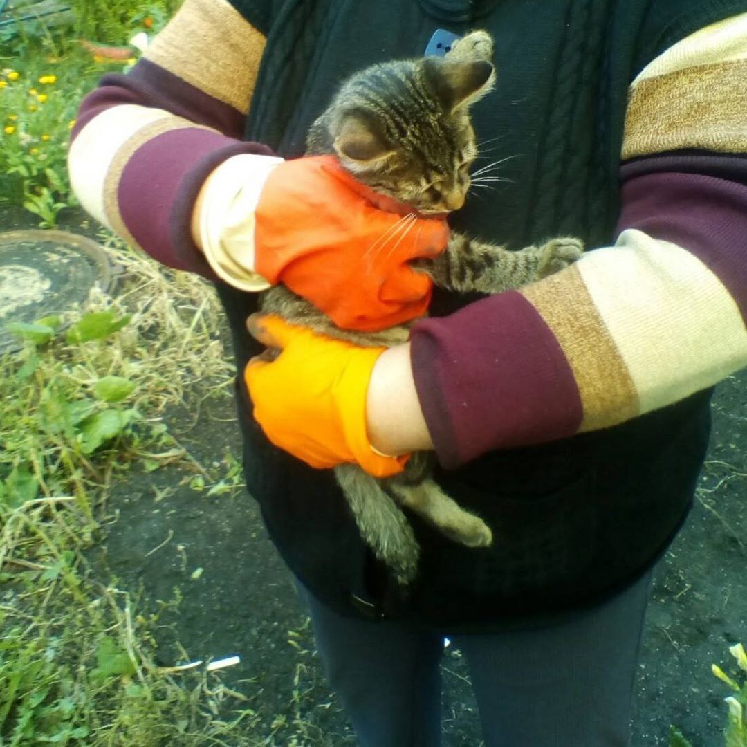 Спасатели помогли достать котенка из колодца. Фото Улпресса - все новости  Ульяновска