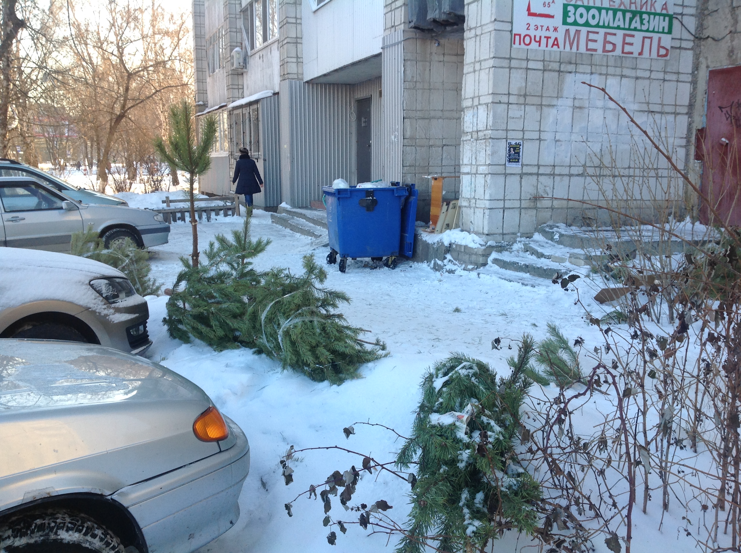 Сайт горкомхоз ульяновск. Елка на контейнерной площадке. Утилизация новогодних елок. Новогодняя елка в мусорном баке. Выброшенная Новогодняя елка.