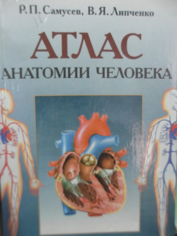 Анатомия липченко самусев. Атлас анатомии человека Самусев 2003. Атлас функциональной анатомии человека Самусев. Анатомический атлас Самусев Липченко. Атлас анатомия человека р.п Самусев.