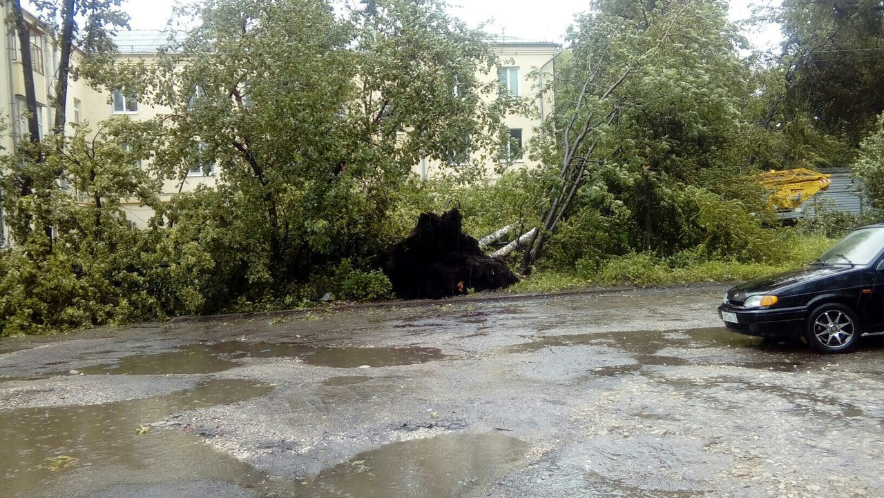 Придавило 31 авто, упало 61 дерево, зафиксировано 77 подтоплений.  Последствия урагана и проливного дождя в Ульяновске в фото Улпресса - все  новости Ульяновска