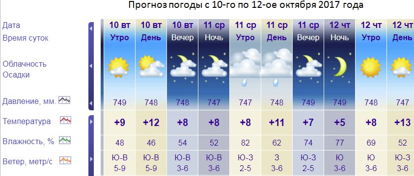 Погода в ульяновске на 3 аэропорт. Прогноз погоды на 11 октября. Прогноз погоды с 3 по 10 октября. Какая была погода 11 октября. Погода в Ульяновске в октябре.