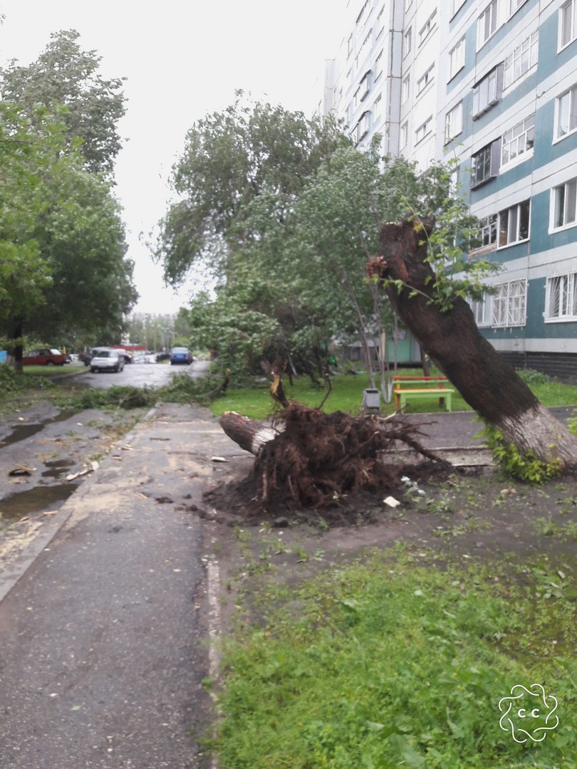 Придавило 31 авто, упало 61 дерево, зафиксировано 77 подтоплений.  Последствия урагана и проливного дождя в Ульяновске в фото Улпресса - все  новости Ульяновска