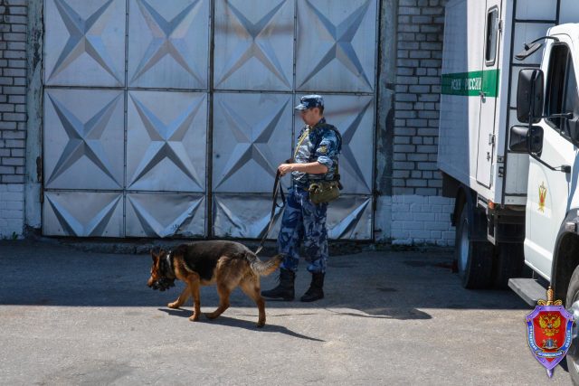 Гтрк волга ульяновск новости